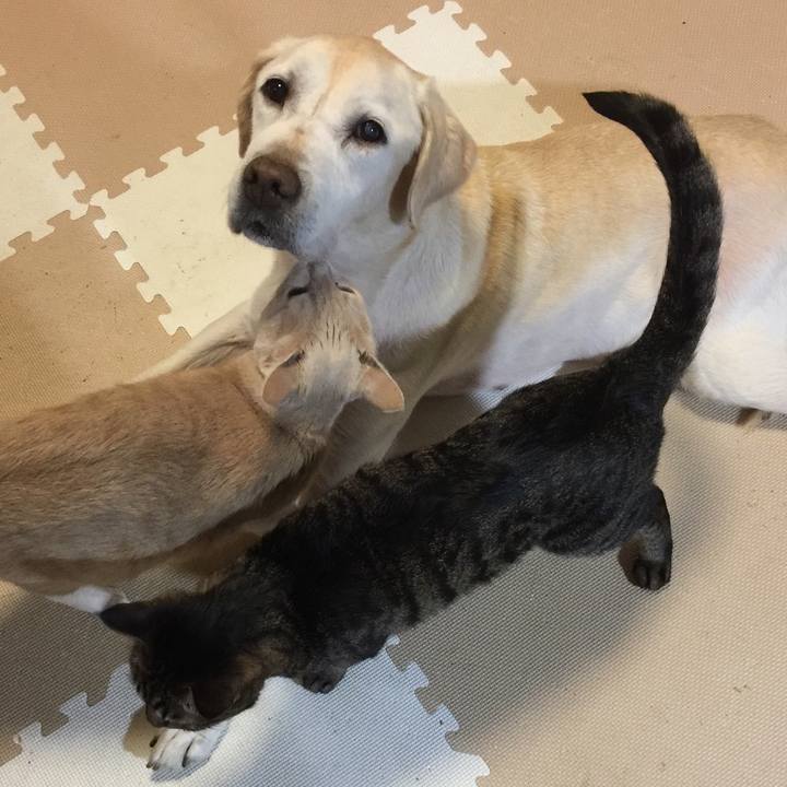 B47a9214 b2a3 4b62 acb1 185bef228d8d 1554818853166