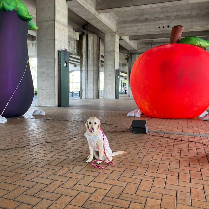 B47aeca5 bd08 4486 9380 84ddd10025e0 1619683082051