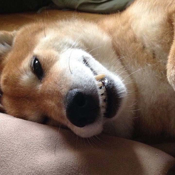 B47af336 ba1a 42ea 94ee 8d7237e60c23 1538815930800