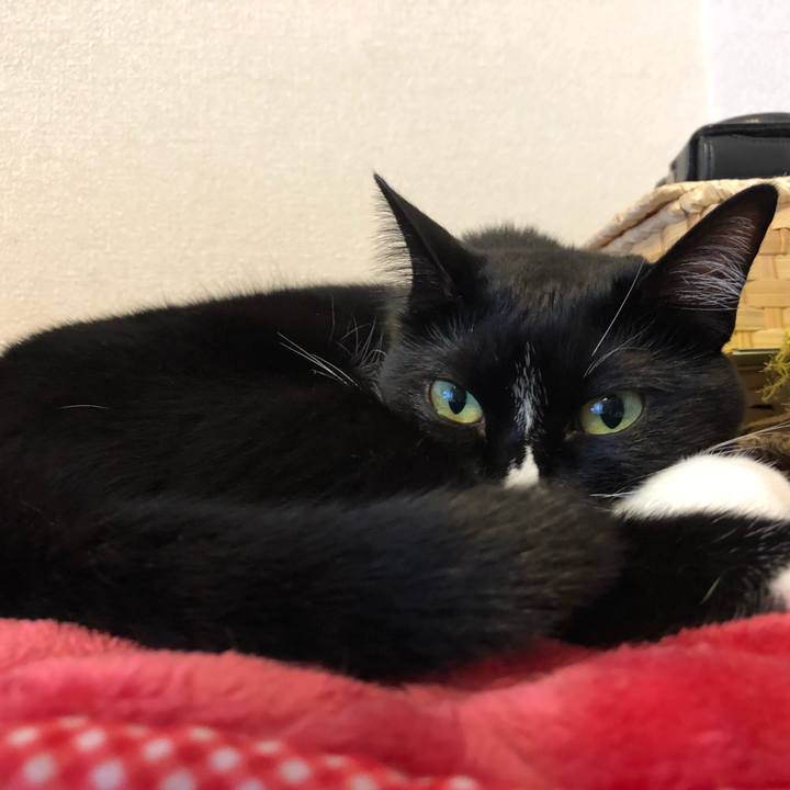 B47b0bbf e23f 43db a1d9 e34038a96699 1538343755839