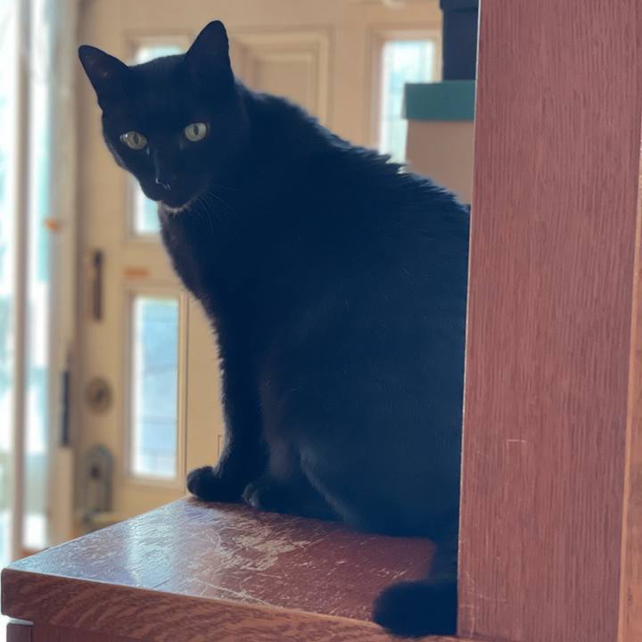 B47b0d28 b250 43b5 b7ce 536da5a6282b 1649381921460