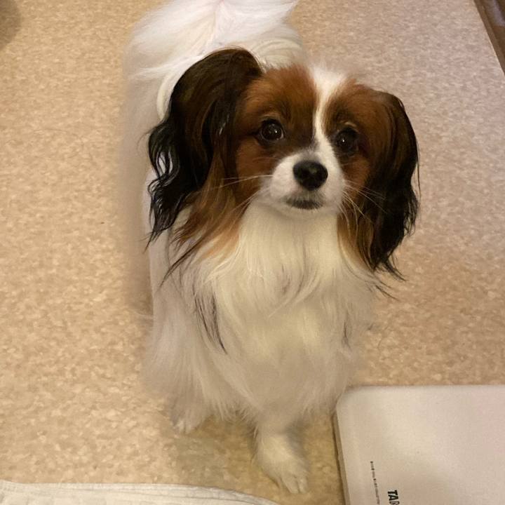 B47b56b8 90f5 4df3 a09c fa8a249c9deb 1632278303948