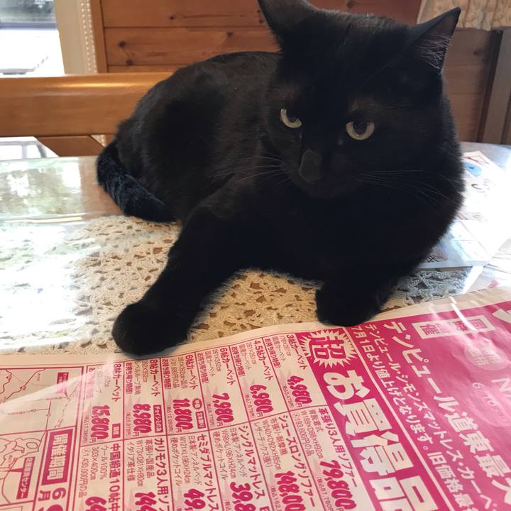 B47b997b 4280 4a92 8dd7 73d5db4822b0 1654723709034