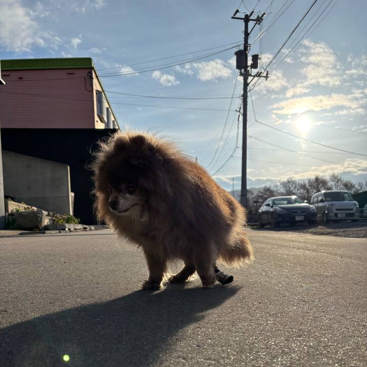 B47bb918 67ba 4b5b b2ba 186142ef31f1 1745461930657