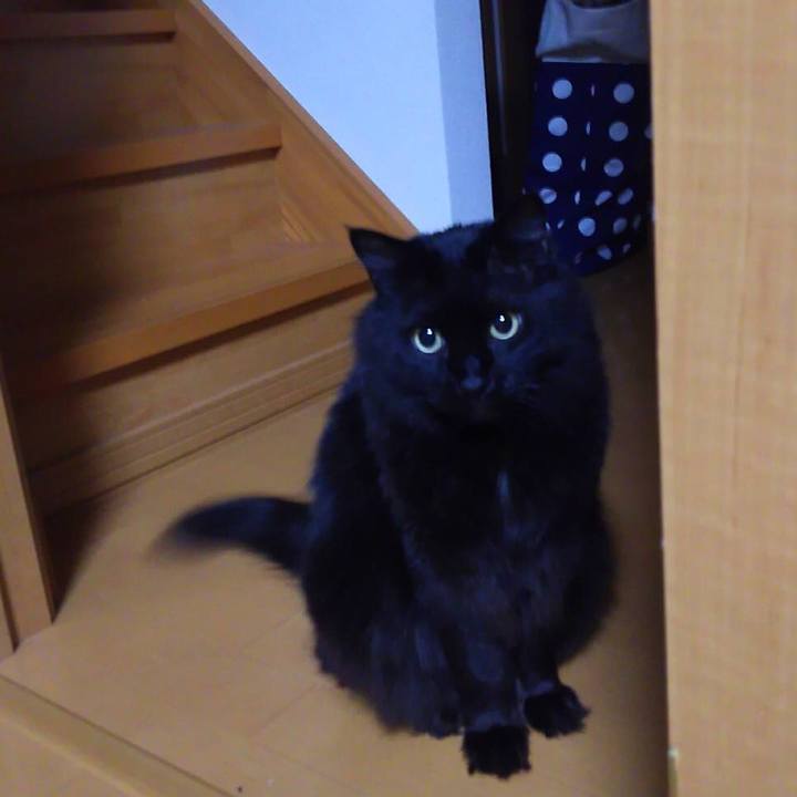 B47bda86 7b45 4bf2 aab7 b26e7054a6f1 1522426553807