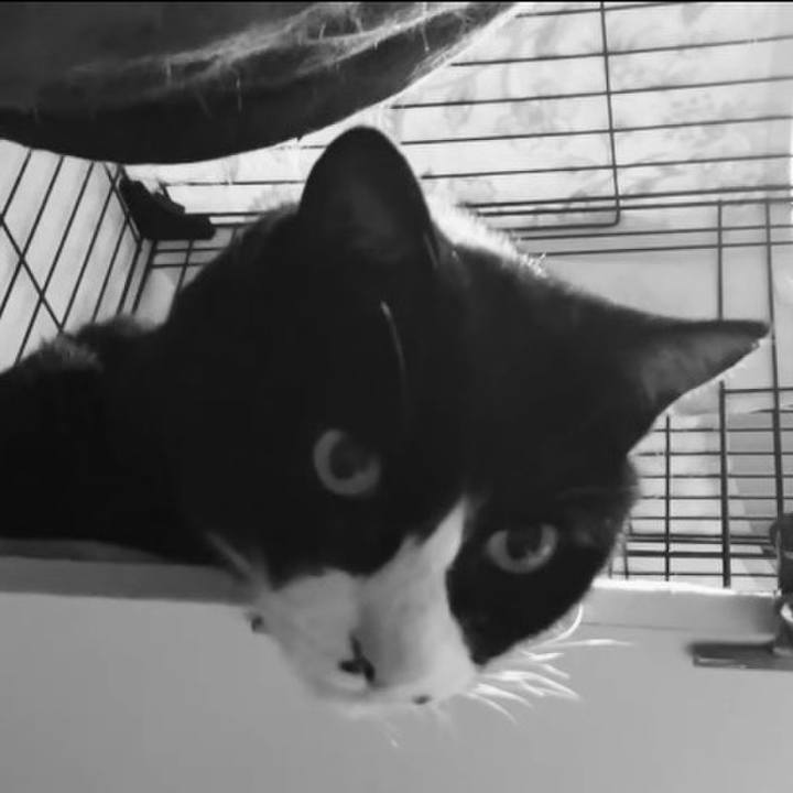 B47bffda 5abf 4cf4 bde4 0847ddf58668 1743241463443