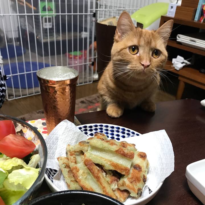 B47c0221 b7ed 4fad 85c8 db03ea740147 1520075436538