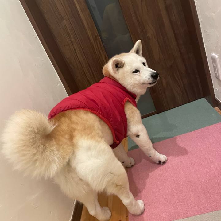 B47c1e82 e58d 45e8 ad9e c4637d7bb876 1709555533137