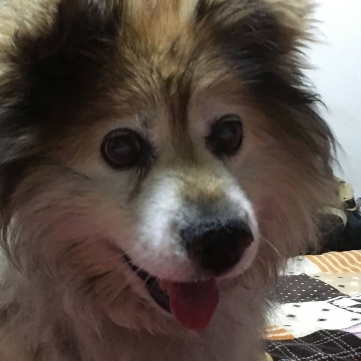 B47c3a3e 717c 4b30 bcad 9544e4db9a48 1597369603606