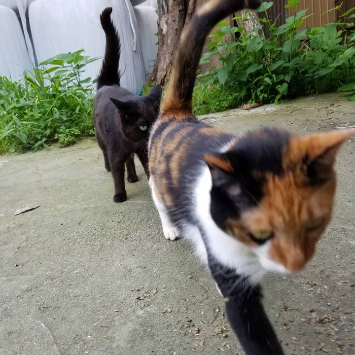 B47c42dd fbd1 4237 ab1e 2c276f640af3 1595326920635