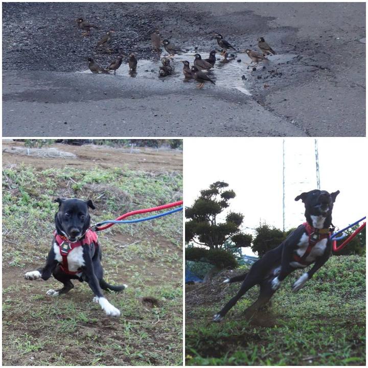 B47c56ca f5fe 4152 a3d6 f3498f5dcb0c 1591094584947