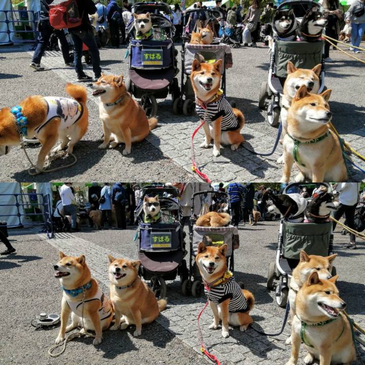 B47c5741 810e 486d bb66 c5bac84177a3 1618069314879