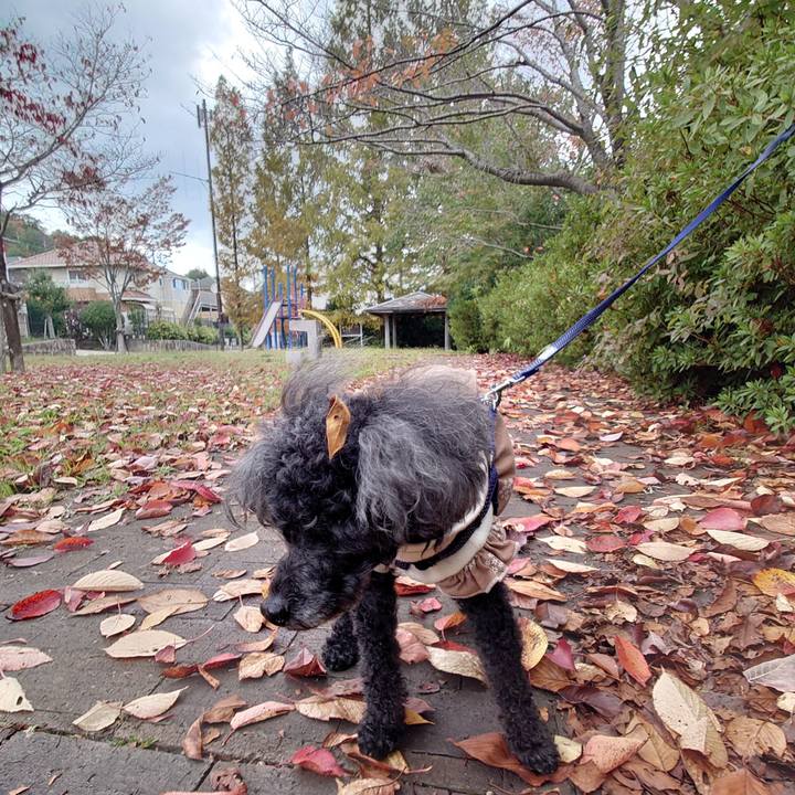 B47c8613 b62b 4302 a941 328b25edc043 1762846276151