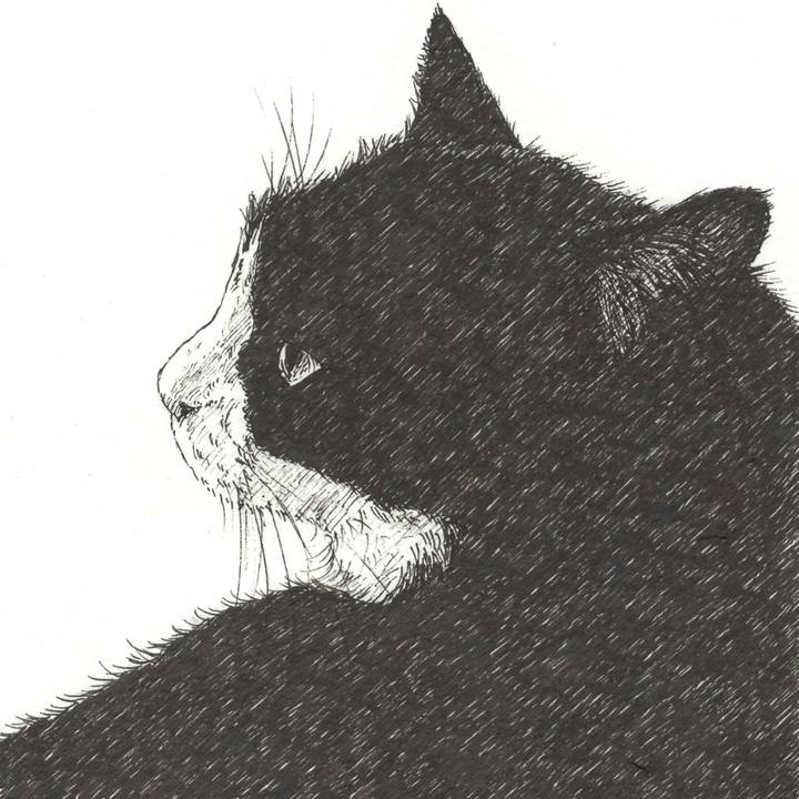 B47ca578 0719 40f9 8c67 69f5cbe8a200 1574086514298