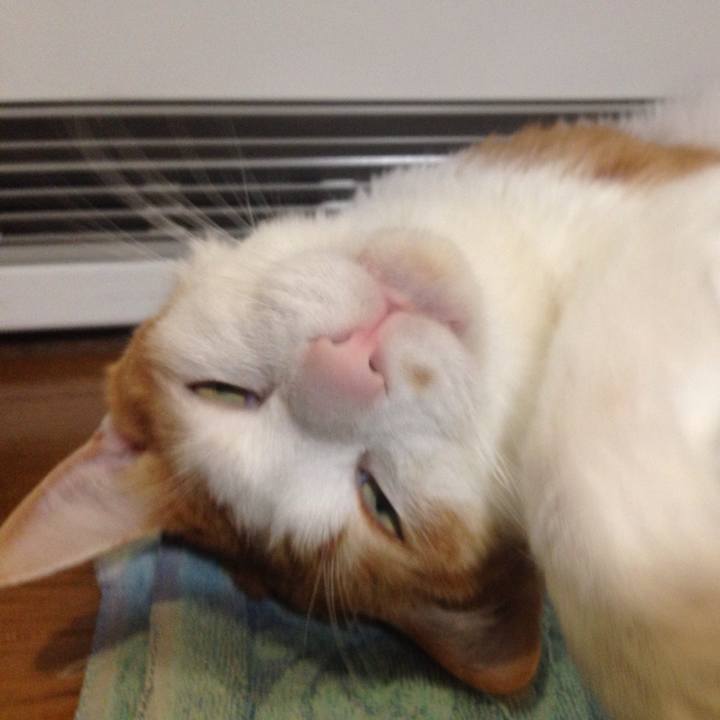 B47cb51c 6ddc 42c0 8fd7 40bec0fe62ed 1515917679318