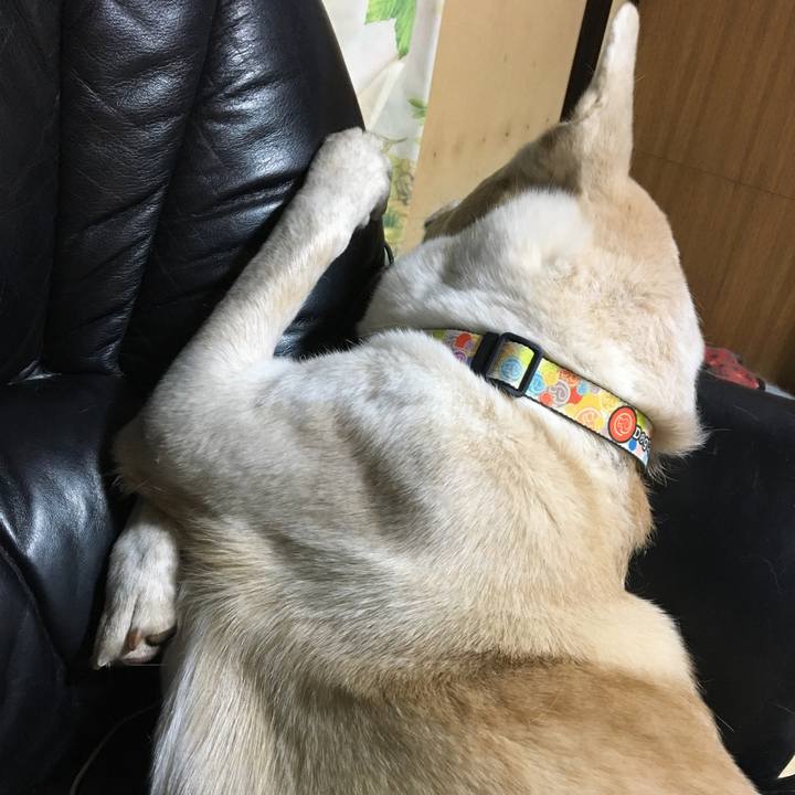 B47cbd43 2e98 4333 b217 7613fdc79552 1513862673881