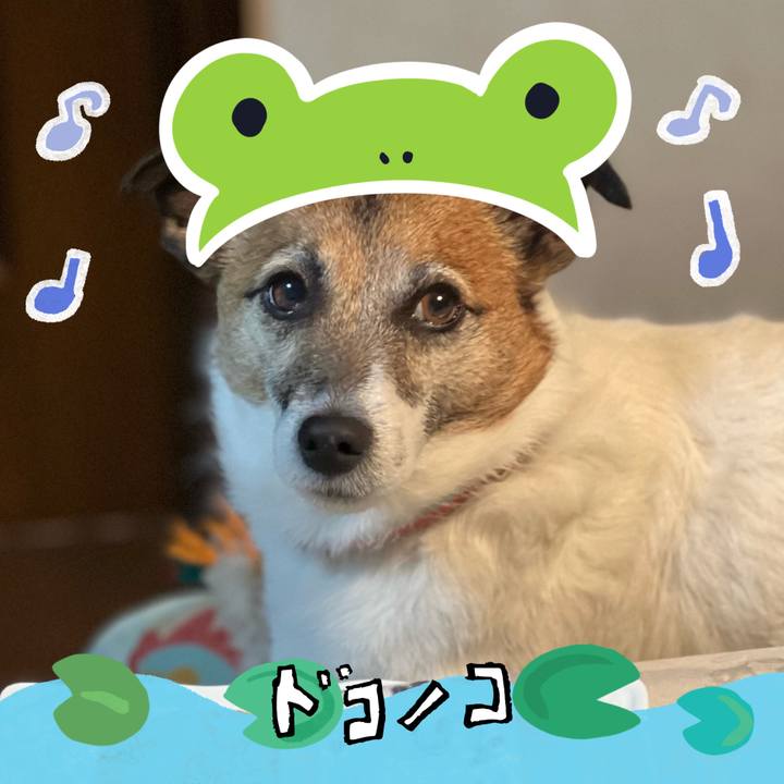 B47cbf79 b975 430e 89e1 7d1f79855fca 1717564403885