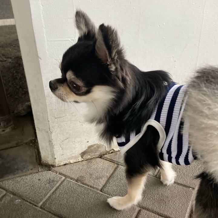 B47ced76 6e5c 410a bb9d 99c536cf4a3e 1619703045109