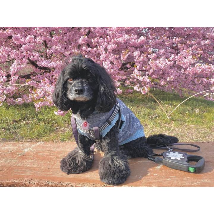 B47d66dc 1a5a 436e bf3c ace3a3934a3f 1678449382088