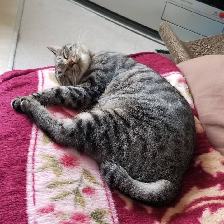 B47d6f29 12fc 4605 bce5 f85b5baeaa4c 1689207917201