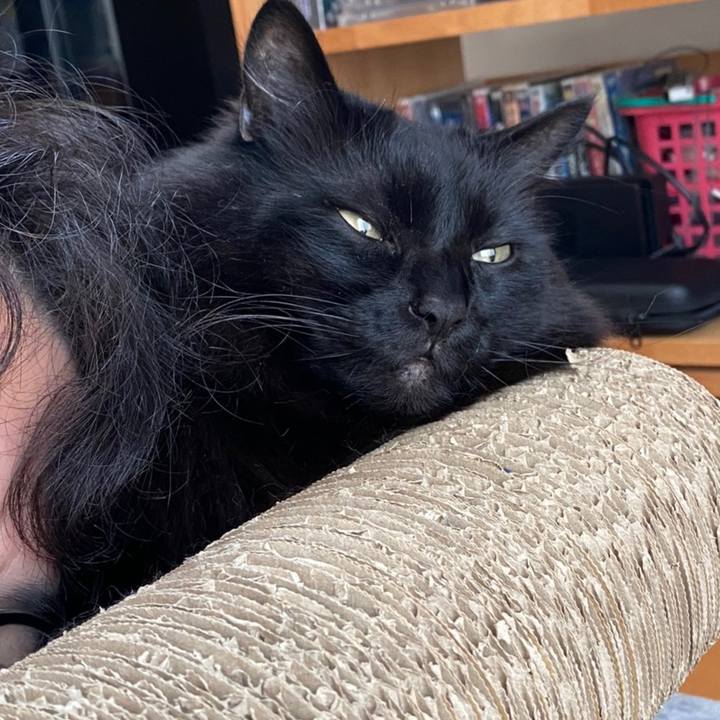 B47d780a 88e0 4f4d ab4d 7c1357160983 1612165431832