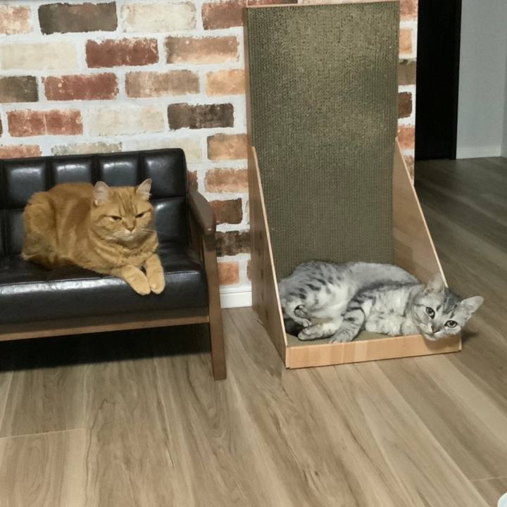 B47d9f33 0907 4ca8 8c5f cbf9d1494620 1656131524620