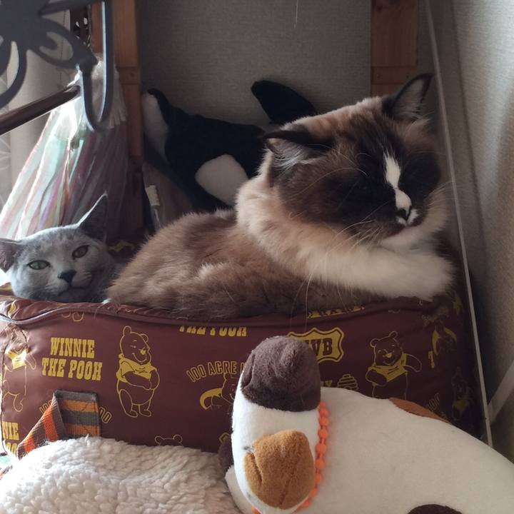 B47da025 7976 4fd2 8374 cbab89e6ea36 1514512294405