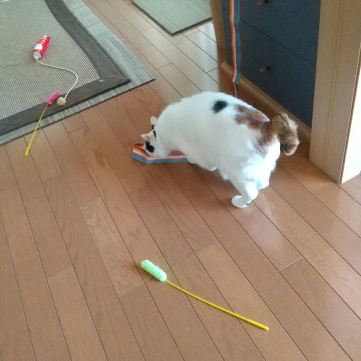 B47da3d0 4795 40c3 b6bf b044e0fa918c 1683845333253