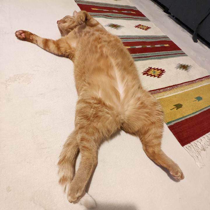 B47dc194 f166 4000 bf54 22bfcc24c8ab 1656250031728