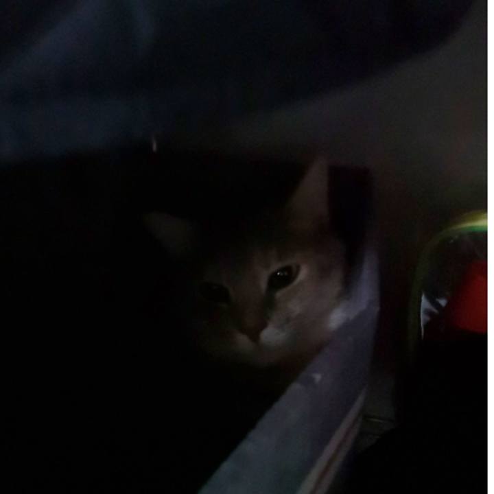 B47dea57 e598 4833 bce6 18ab21330d95 1589606113839