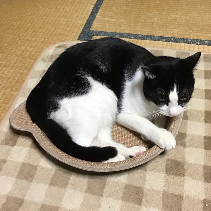 B47df2fa 1a23 4438 bb23 12a5bf9f6f8a 1729843940281