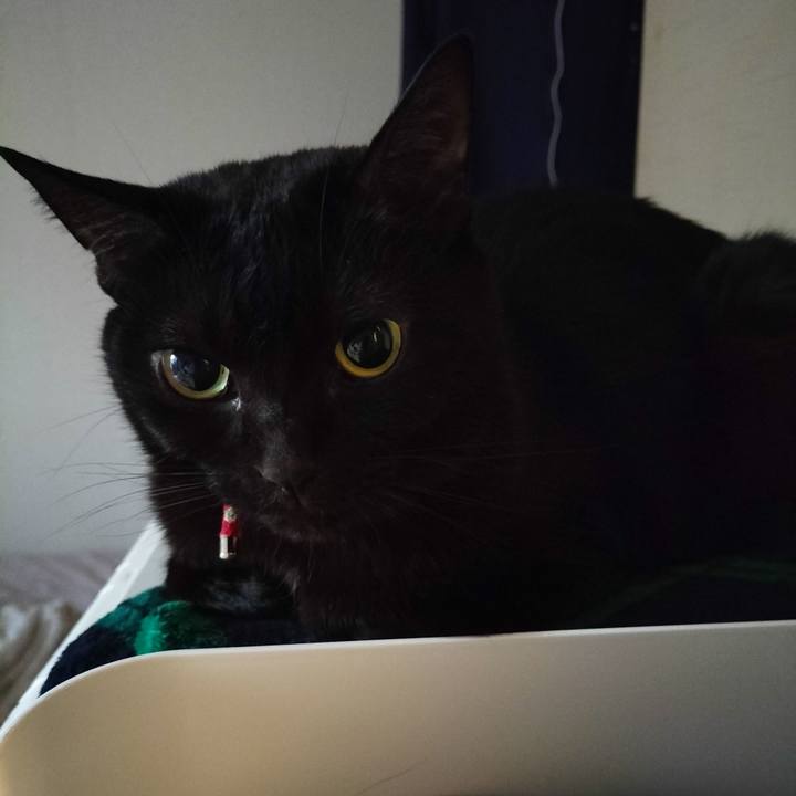 B47e0e2c a343 4c7e 8385 b924bd269110 1670970729419