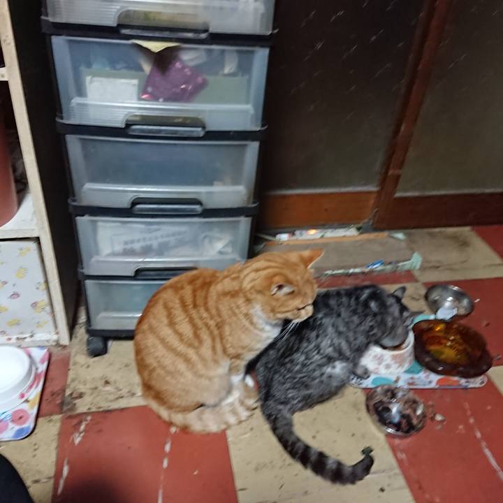 B47e23d0 292a 4fa4 975b a75d8b2bd0b7 1575277297795