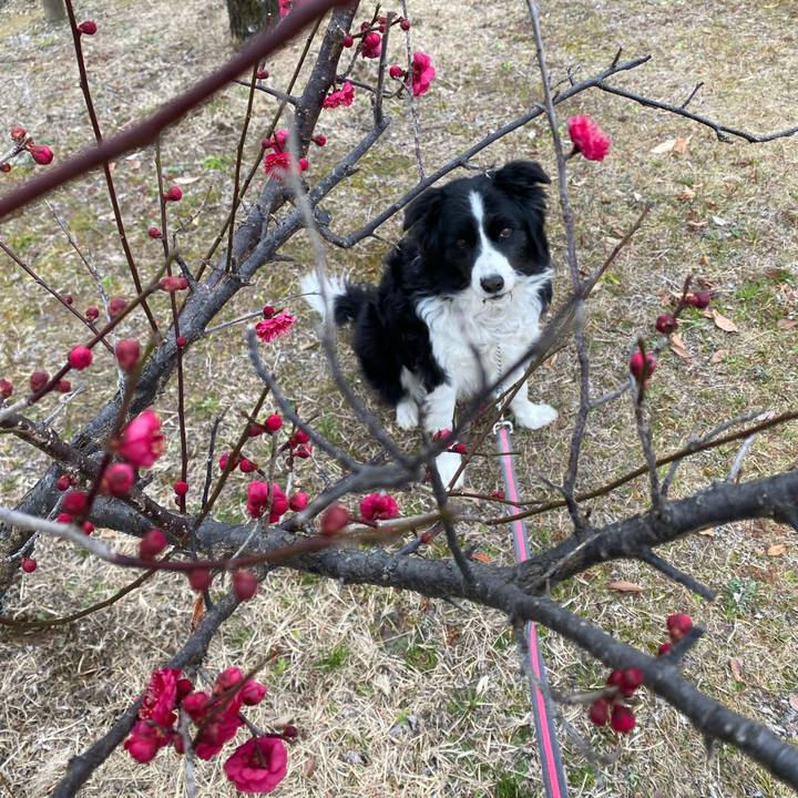 B47e3c48 11b2 4a2e a6a1 150b687cf465 1644453819142