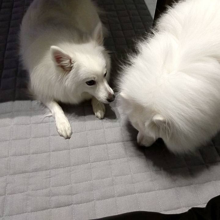 B47e3deb b6dd 420f b716 dcd76a83a680 1613998934818