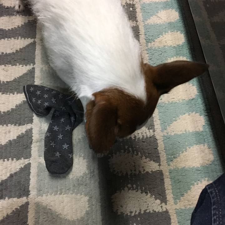 B47e40f1 2c27 4872 aa3a c79f5b047553 1558427885010