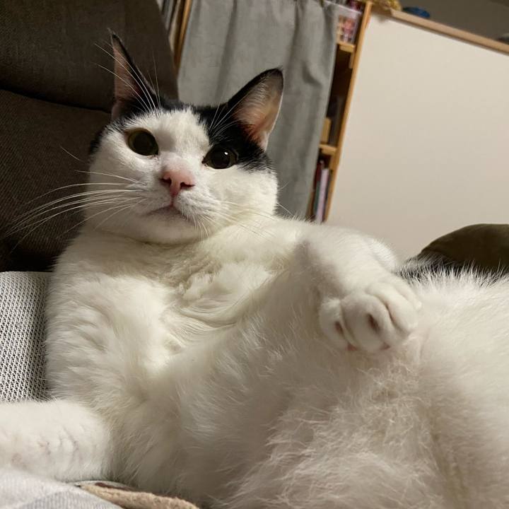 B47e59d1 93f3 431c ba5f 47633a64355e 1604391502464