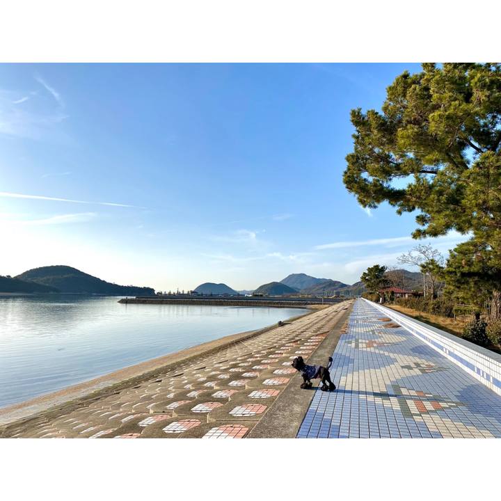 B47e5f2e 474c 4a92 9b58 7b9ca95a6ae4 1582548698804