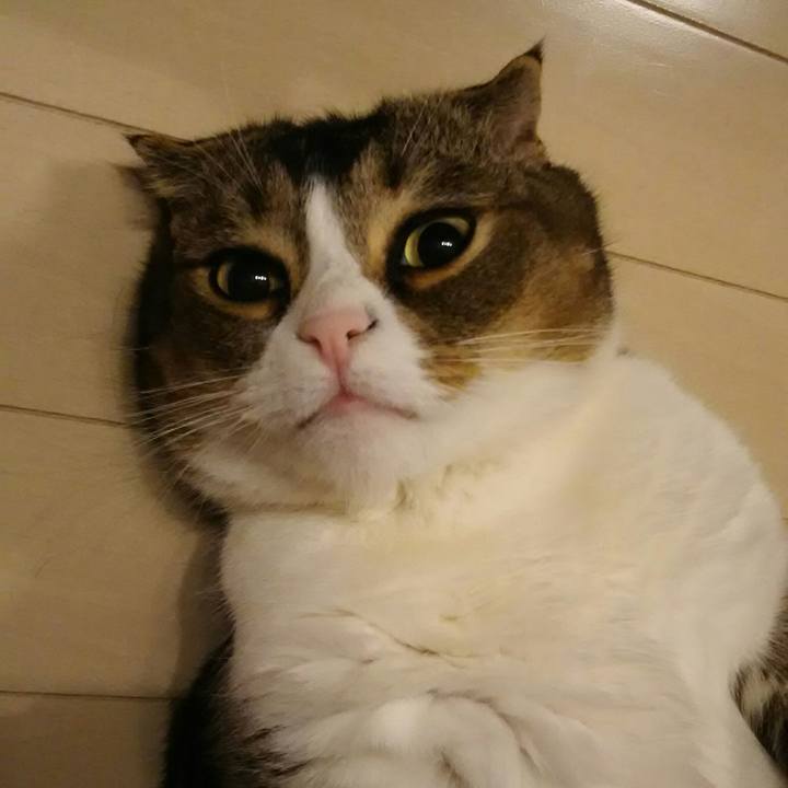 B47e5f7e 00cb 4762 b89f 7465ce6834b1 1528291172702