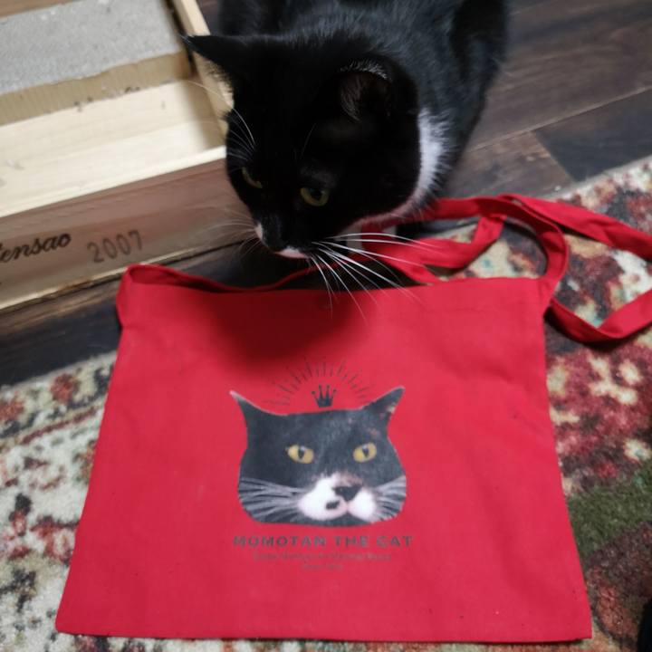 B47e64d7 2790 4f87 997a 7d50991157a1 1572704835513