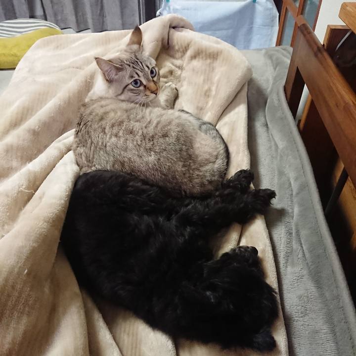 B47e796e fda2 4a98 8726 8e38737c574a 1580167548795