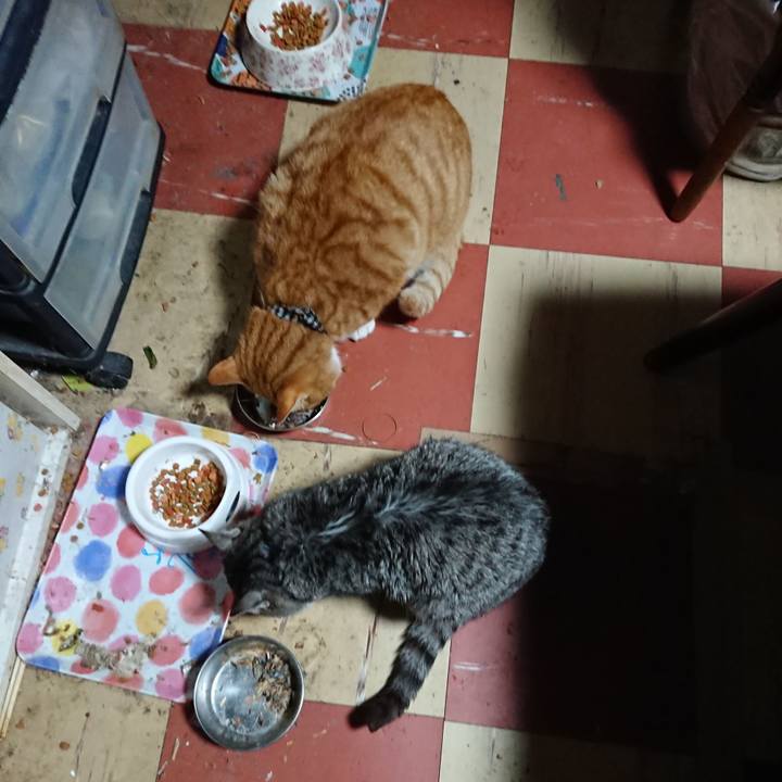 B47eb1b0 bd81 48c7 9a94 134af76c2cd6 1575755901094