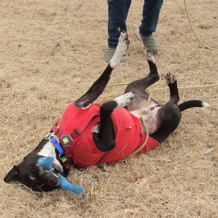 B47eb752 a019 4e8e 93f8 78905f31b5ce 1674521499510