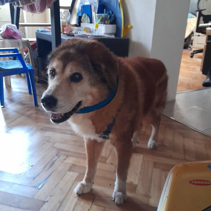 B47ec168 ec8a 4699 9626 30c117bcebf1 1767058906758