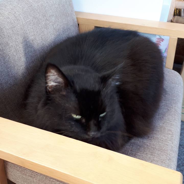 B47efca5 da82 490c a1d2 30496490ee6a 1542669534433