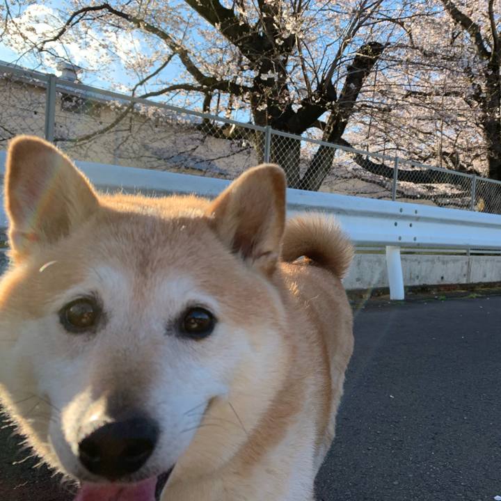 B47f62eb d397 4a35 b36c 8fbd64d38022 1554193372950