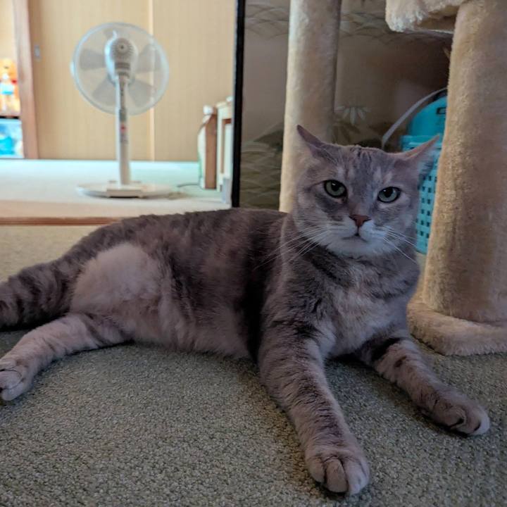 B47f6aac dbd2 409e b65a 9a5c14987e37 1752044533783