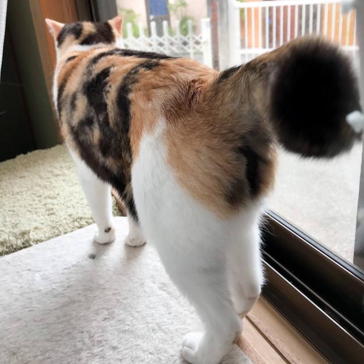 B47fa9e7 1e30 4f43 aa7a b44e62e13037 1529937510886