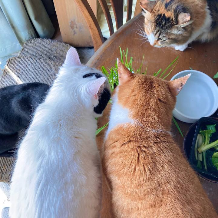 B47faf5d fc32 432e 9947 01ec4a47253b 1684305979463