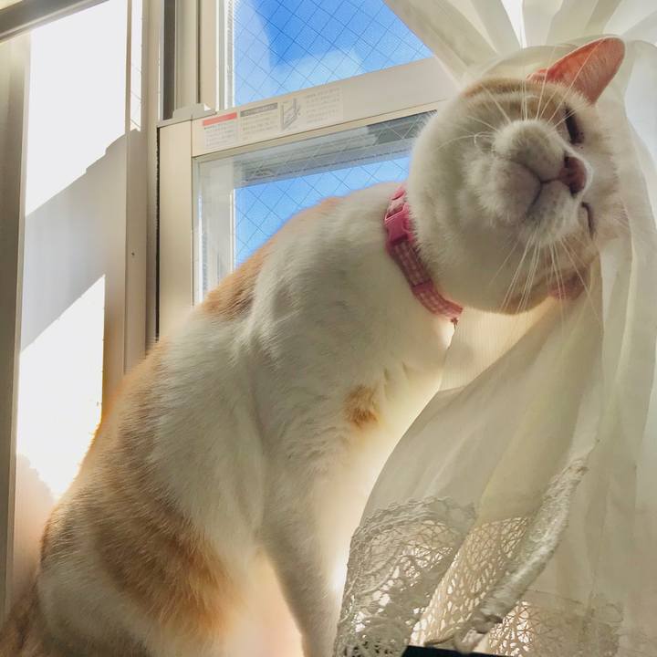 B47fb6e8 9b8d 451b b7e7 29c66810d88e 1675690561720